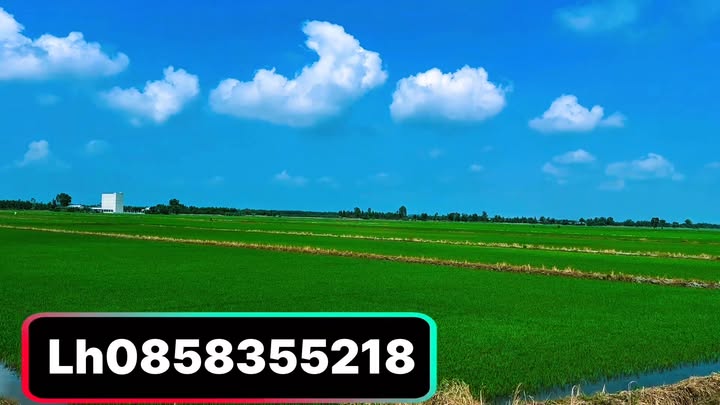 Đất nền Thạnh Phước Long An 9600m² - Sổ đỏ chính chủ!