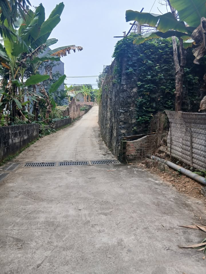 Đất nền Ngọc Xuân, Cao Bằng 198m² - Sổ đỏ chính chủ!