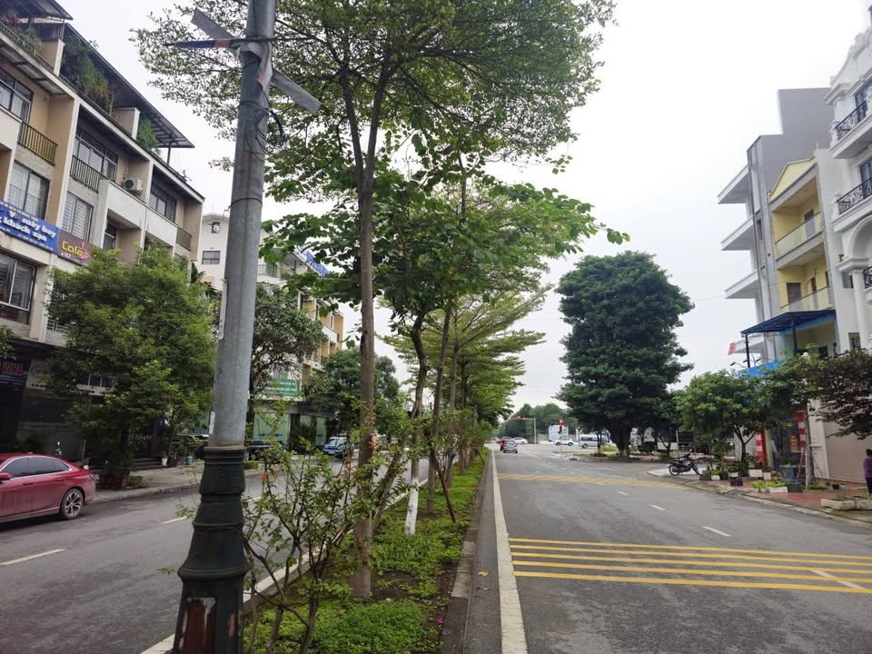 Bán Gấp Townhouse 5 Tầng Đường Bình Than, Bắc Ninh - 90m² - 18 Tỷ