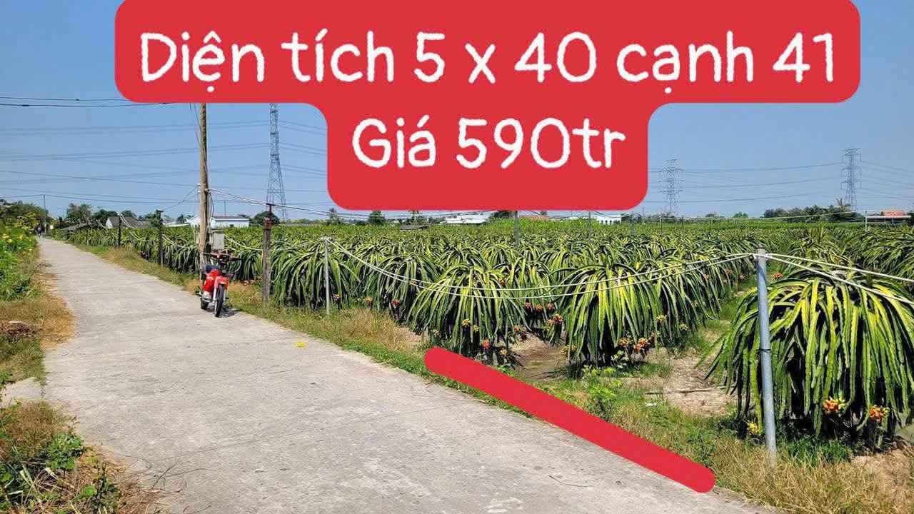 Đất Vĩnh Công, Châu Thành, Tây Ninh - 207.5m² Thổ Cư, Giá 590 Triệu