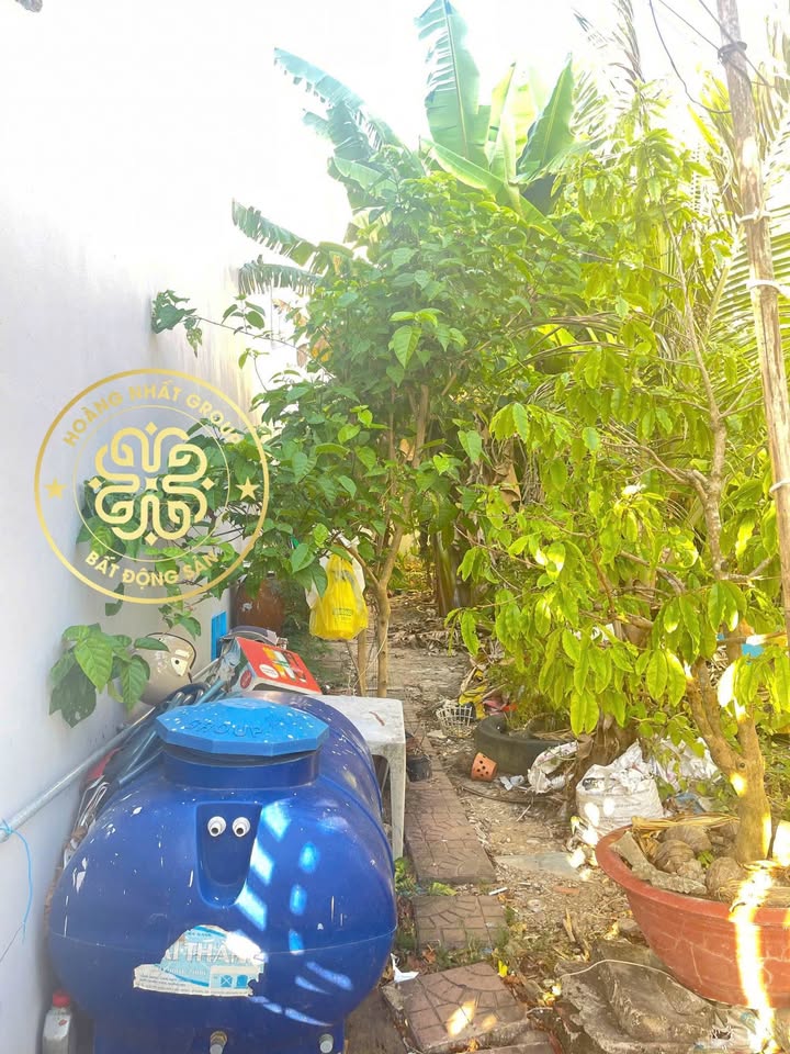 Đất nền Phường Tân Xuyên, Cà Mau 101.25m² - Vị trí đắc địa, tiềm năng tăng giá!