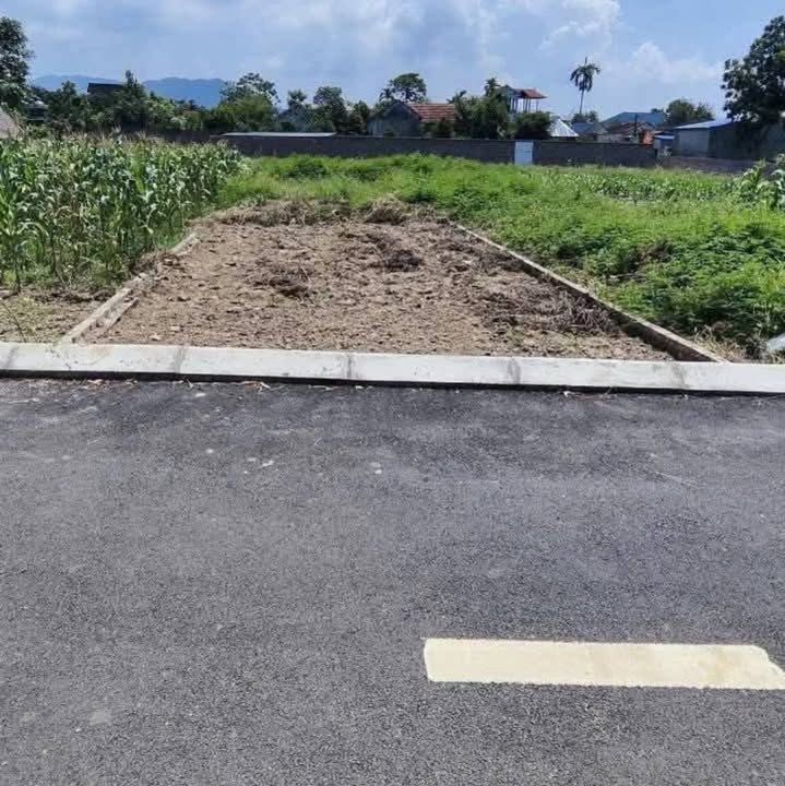 Đất Sóc Sơn 113.5m² Full Thổ Cư - Giá Đầu Tư Chỉ Nhỉnh 2 Tỷ