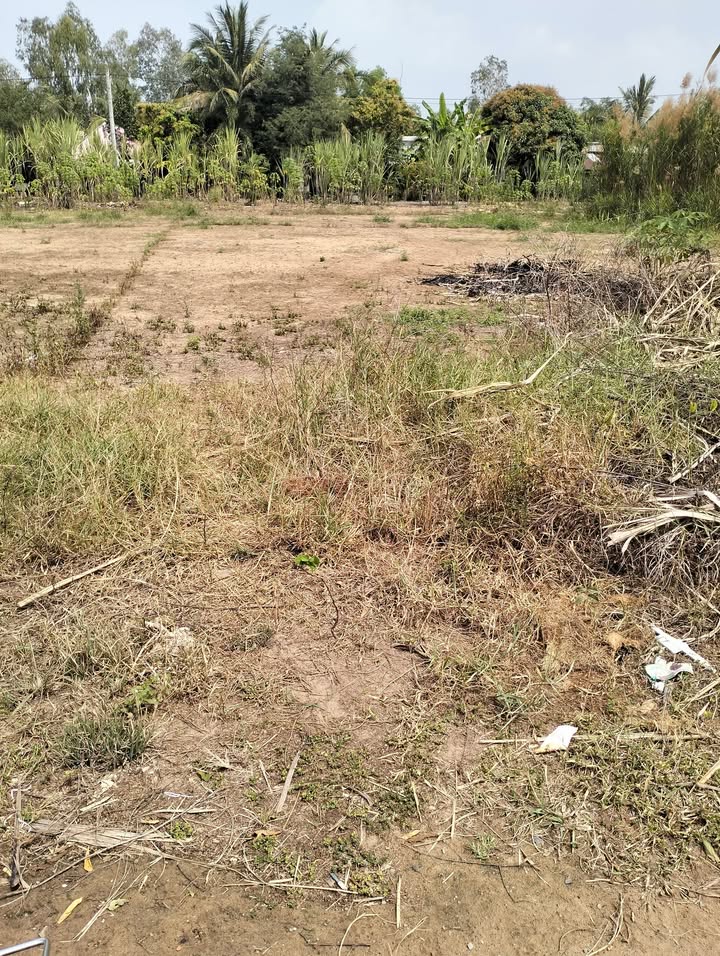 Đất nền đôi Mỹ Hòa, Tháp Mười 200m² - Giá 1.4 tỷ, Sổ đỏ sẵn