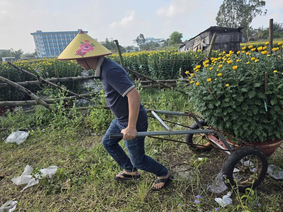 Bán Đất Kiệt Bình Kỳ Ngũ Hành Sơn 85m² - Giá 3.2 Tỷ, Sẵn Sàng Thương Lượng