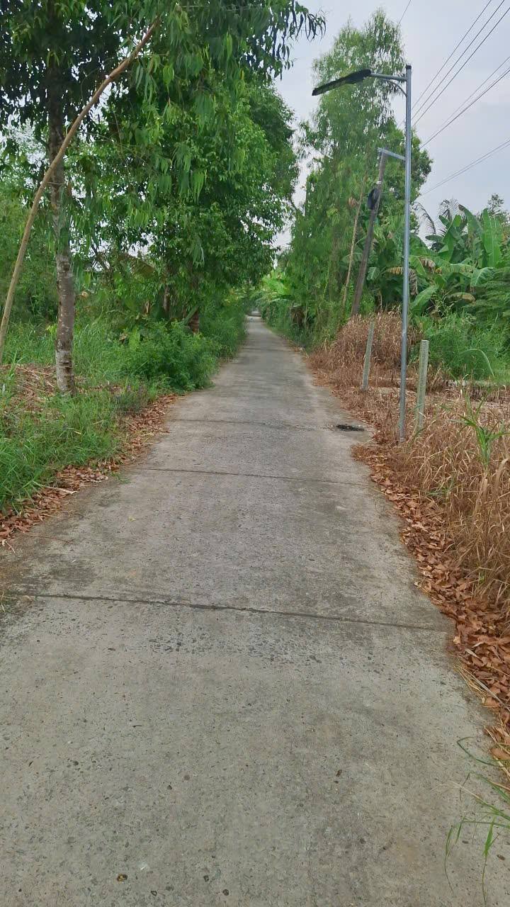 Đất nền Cai Lậy Tiền Giang 155m² giá 800 triệu - Đất thổ cư 100%