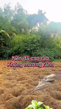 Đất nền Sóc Trăng 100m² - View Sông Mát Mẻ, Giá Chỉ 150 Triệu