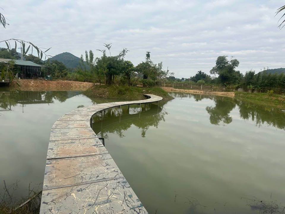 Bán Farmstay 6822m² Sóc Sơn - Vườn Ao, Khí Hậu Trong Lành, Sẵn Sàng Kinh Doanh