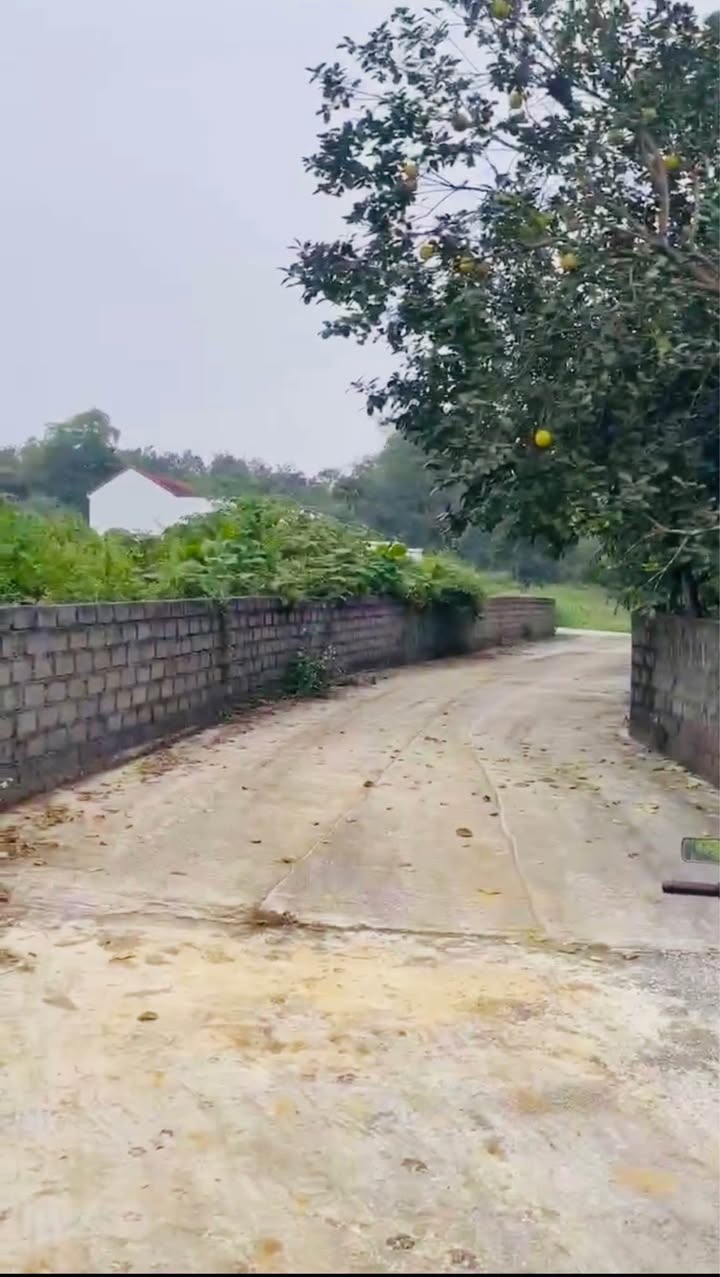 Đất nền Cao Dương, Lương Sơn 1850m² - Sổ đỏ chính chủ!