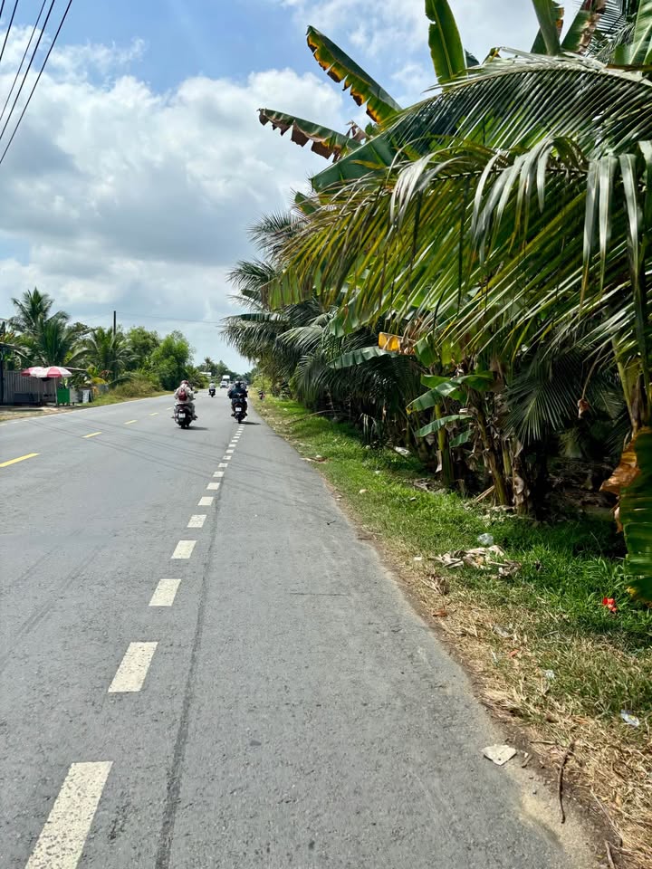 Đất nền QL60 Mỏ Cày Bắc 500m² - Tiềm năng tăng giá vượt trội!