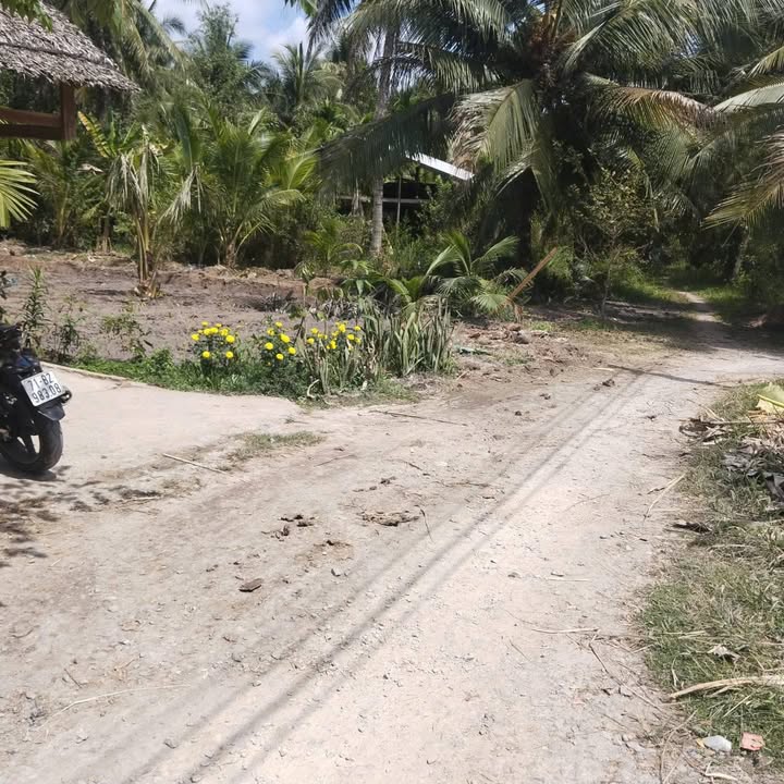 Đất nền Lương Hòa, Giồng Trôm 808.6m² - Sổ đỏ chính chủ, giá chỉ 600 triệu!