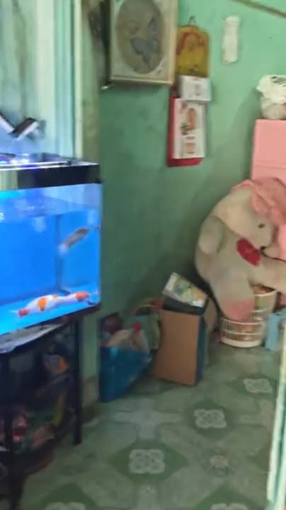 Nhà Mặt Tiền Tỉnh Lộ 873B Tân Tây, Gò Công Đông - Kinh doanh Đắc Lộc 99.6m²