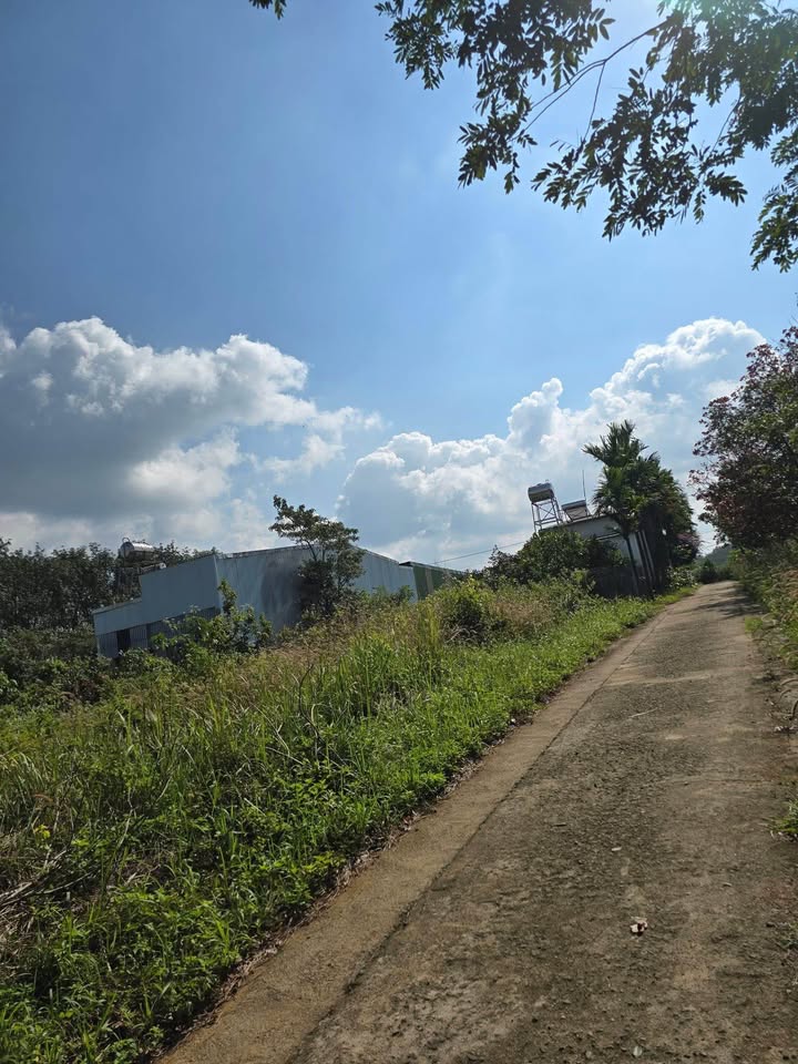 Đất nền Kiến Thành, Đắk Nông - 318m² Sổ Đỏ, Giá 380 Triệu