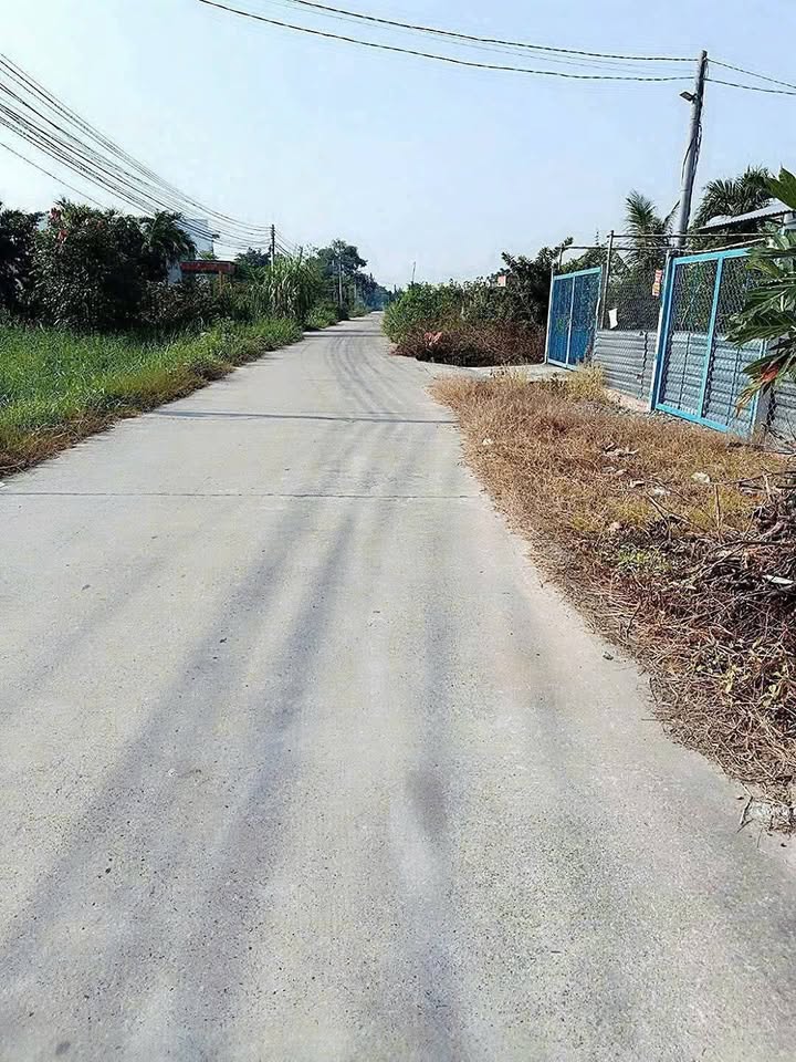 Bán Gấp 2 Lô Đất 250m² Mặt Tiền Đường Bê Tông Đức Hòa - Sổ Đỏ Sẵn Sàng