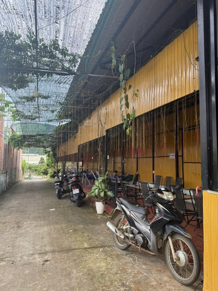 Bán Đất Vườn Nghỉ Dưỡng 3200m² Mê Linh, Lâm Hà - Giá 10 Tỷ