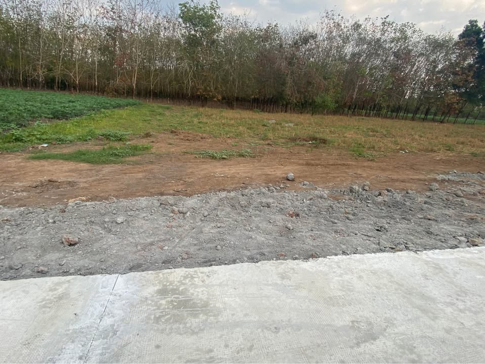 Bán Đất Thạnh Hưng, Tây Ninh 200m² - Sổ Đỏ Full Thổ Cư, Giá 320 Triệu