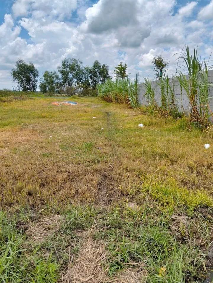 Bán Đất 1100m² Trung Lập Hạ Củ Chi - Sổ Riêng, Giá Tốt