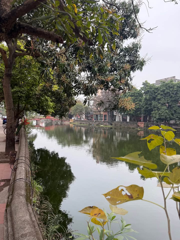 Đất nền Từ Sơn 49.6m² - Ngõ rộng ô tô, gần hồ Mai Động - Hơn 1 tỷ