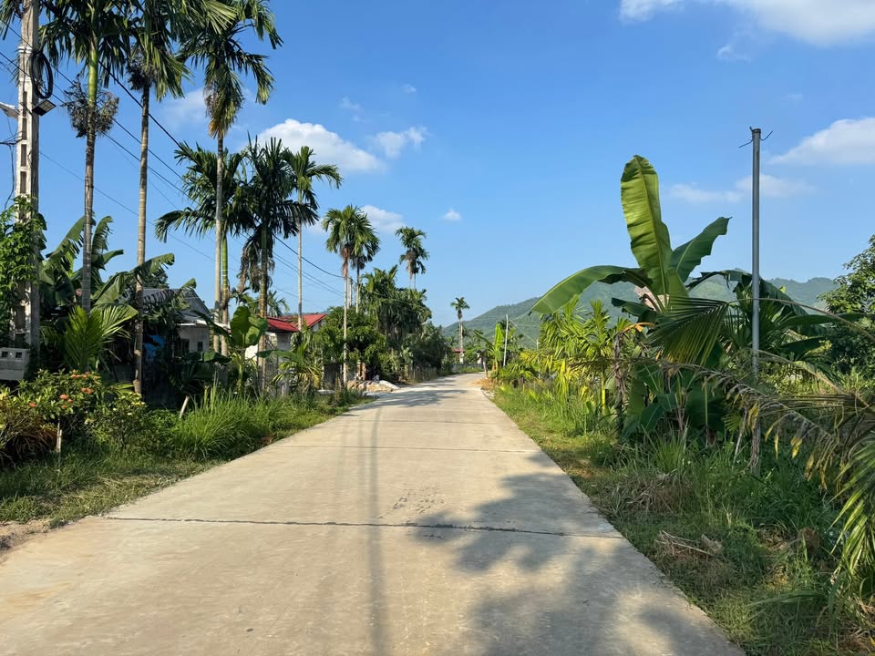 Đất Nền Yên Lập, Phú Thọ - 576m² - Giá Đầu Tư Hấp Dẫn