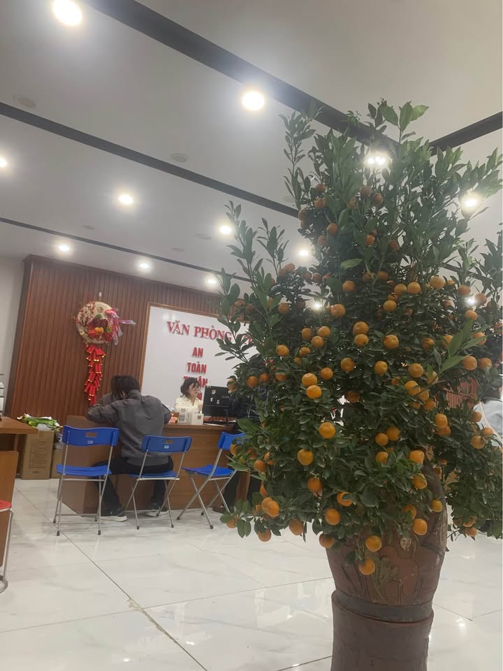 Đất Nền 700m² Phù Lãng, Quế Võ - Sổ Đỏ Vuông Vắn, Giá Tốt Đầu Tư