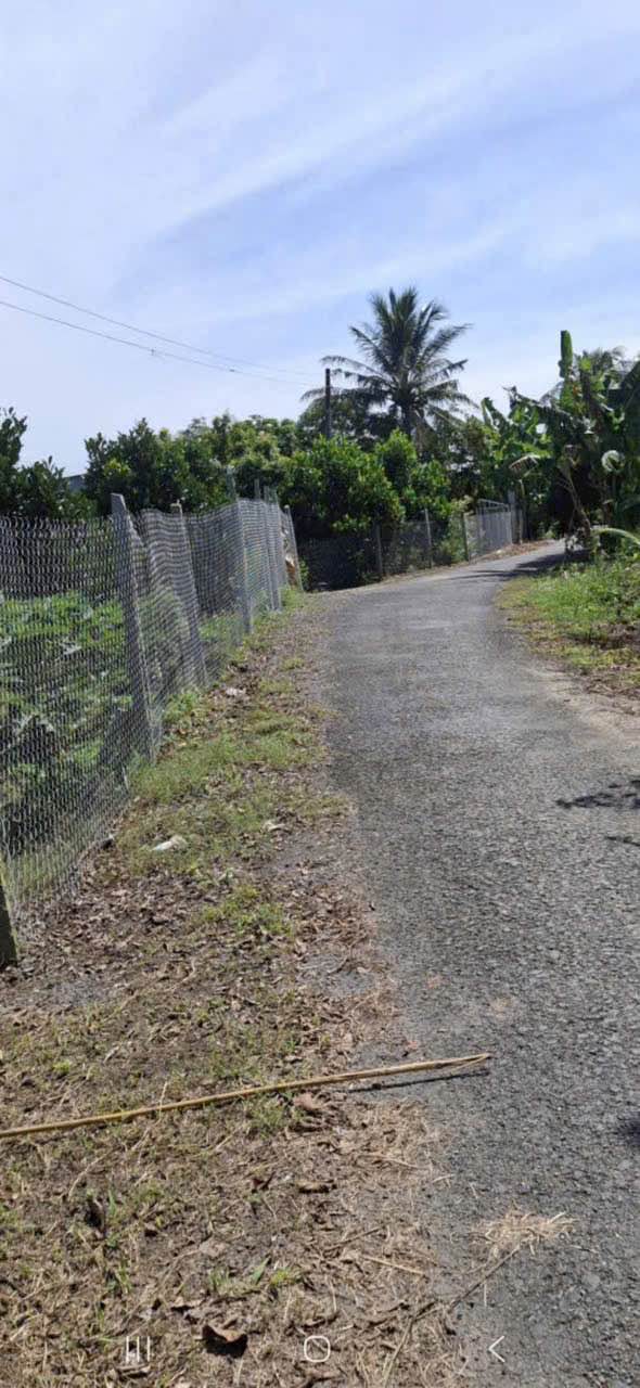 Đất nền Tân Nhuận Đông 3059m² - Sổ đỏ chính chủ!