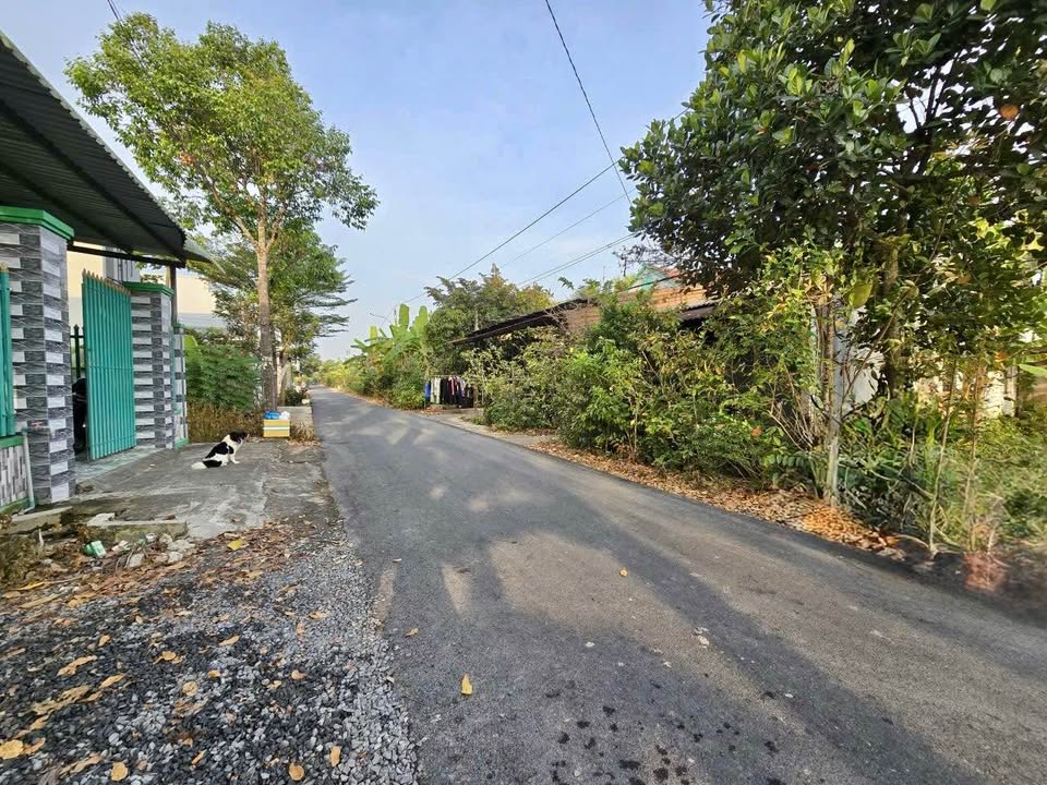 Đất nền TP Mỹ Tho 113m² 1.29 tỷ - Tiềm năng tăng giá vượt trội!