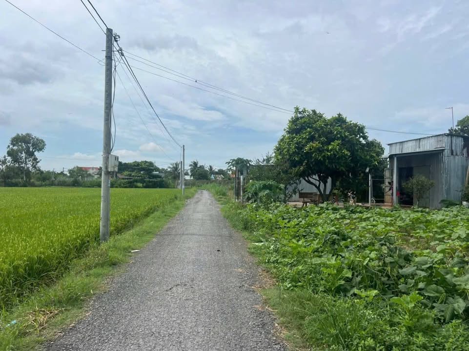 Đất nền Xã Tân Hòa Gò Công Đông 850m² - Sổ đỏ chính chủ!