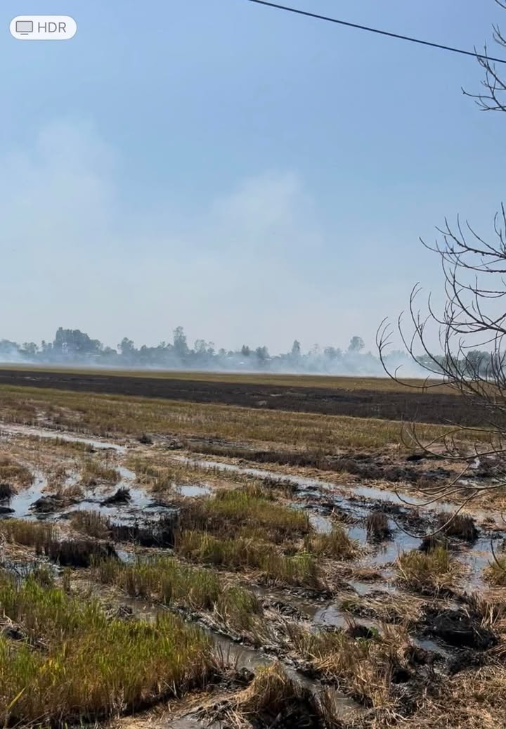 Đất cho thuê Phú Điền, Tháp Mười 36.000m² - Đường to ô tô, hạ tầng hoàn thiện!