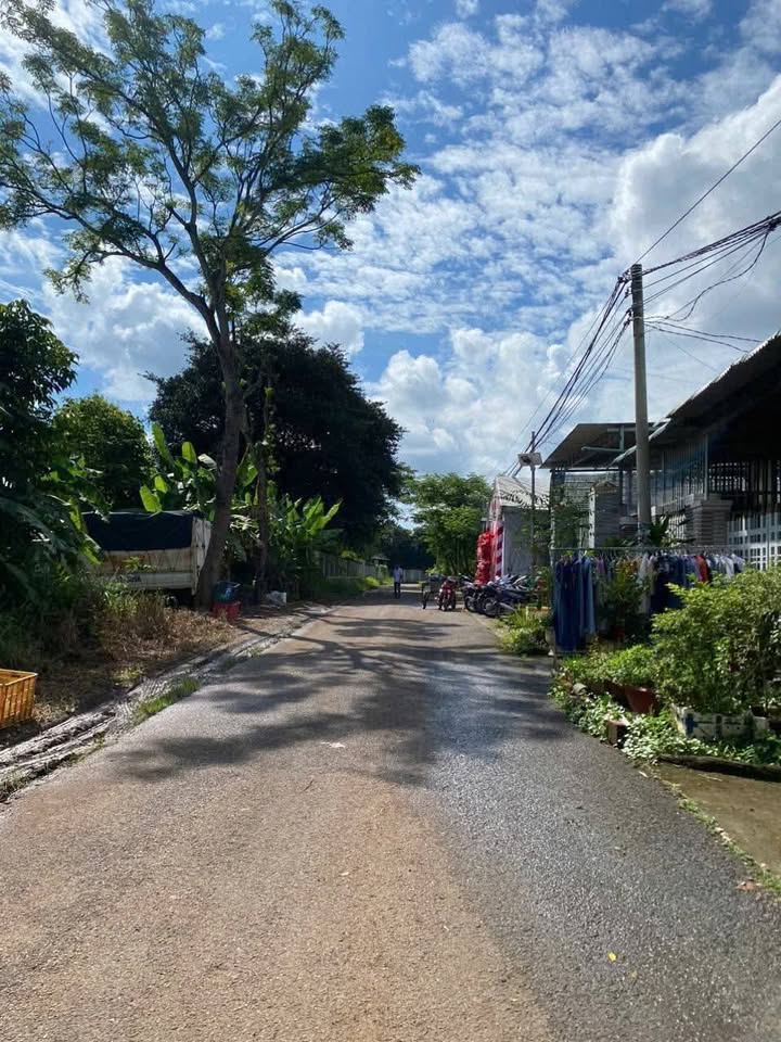 Bán Đất Sổ Riêng Mặt Tiền Nhựa Trảng Bom - 216m² Giá Chỉ 590 Triệu