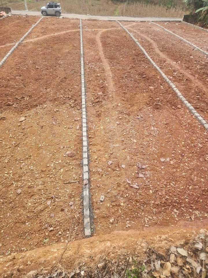 Đất nền F0 Lạng Giang 170m² - Sổ đỏ sẵn, giá chỉ 6xx triệu