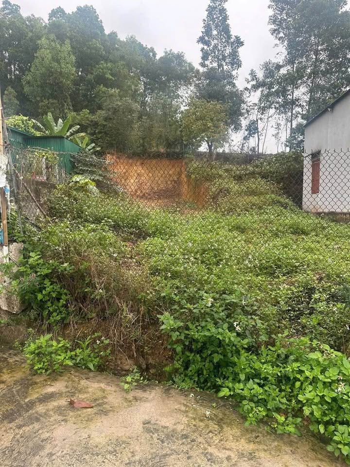 Đất nền Văn Sơn Đô Lương 192m² - Sổ đỏ chính chủ, đường ô tô tránh