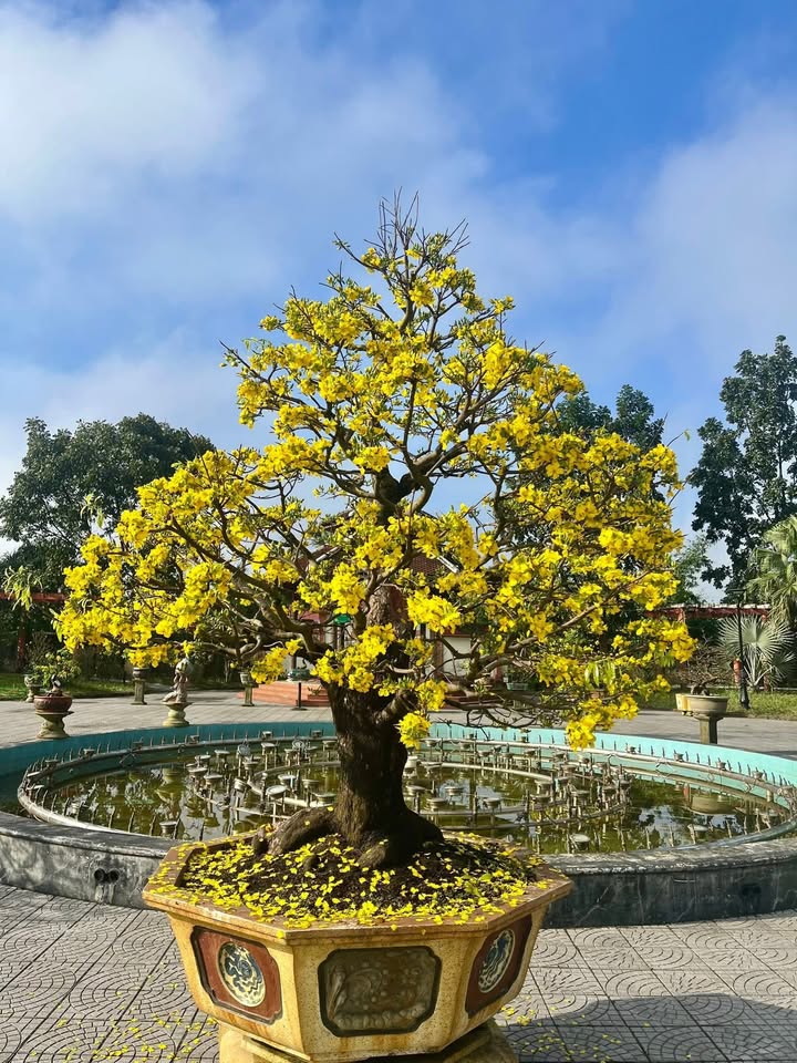 Đất nền Trần Hữu Tước, Thủy Lương 145m² - Tiềm năng tăng giá vượt trội!