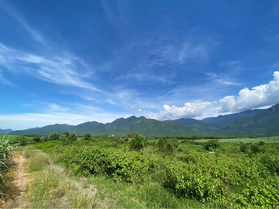 Đất Vườn 1000m² Bên Suối Tự Nhiên - Ninh Thượng, Ninh Hòa Chỉ Từ 1xx Triệu