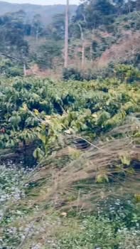 Đất Vườn 720m² Lâm Hà - Tặng Máy Nổ & Ống Tưới