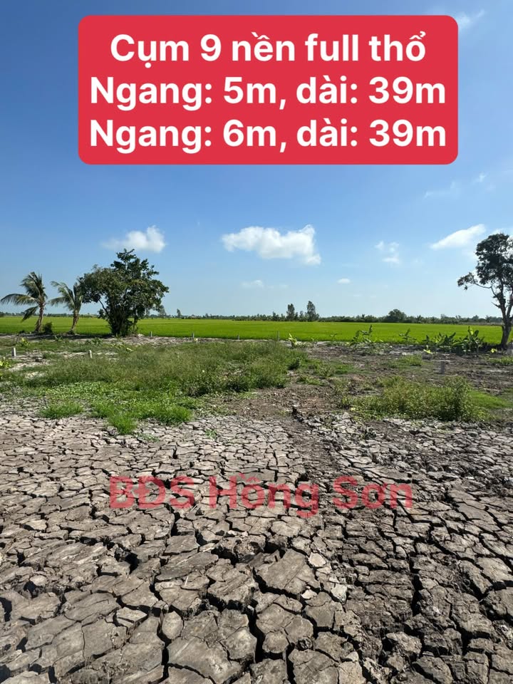 Đất Thổ Cư Mặt Tiền Kinh 5 Ranh - An Giang 195m² Giá Chỉ Từ 450 Triệu