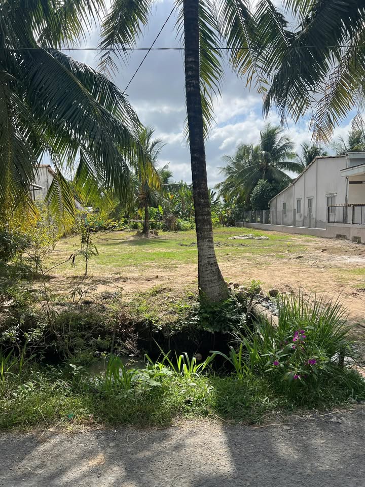 Đất nền Tiểu Cần Trà Vinh 300m² 550 triệu - Sổ đỏ chính chủ