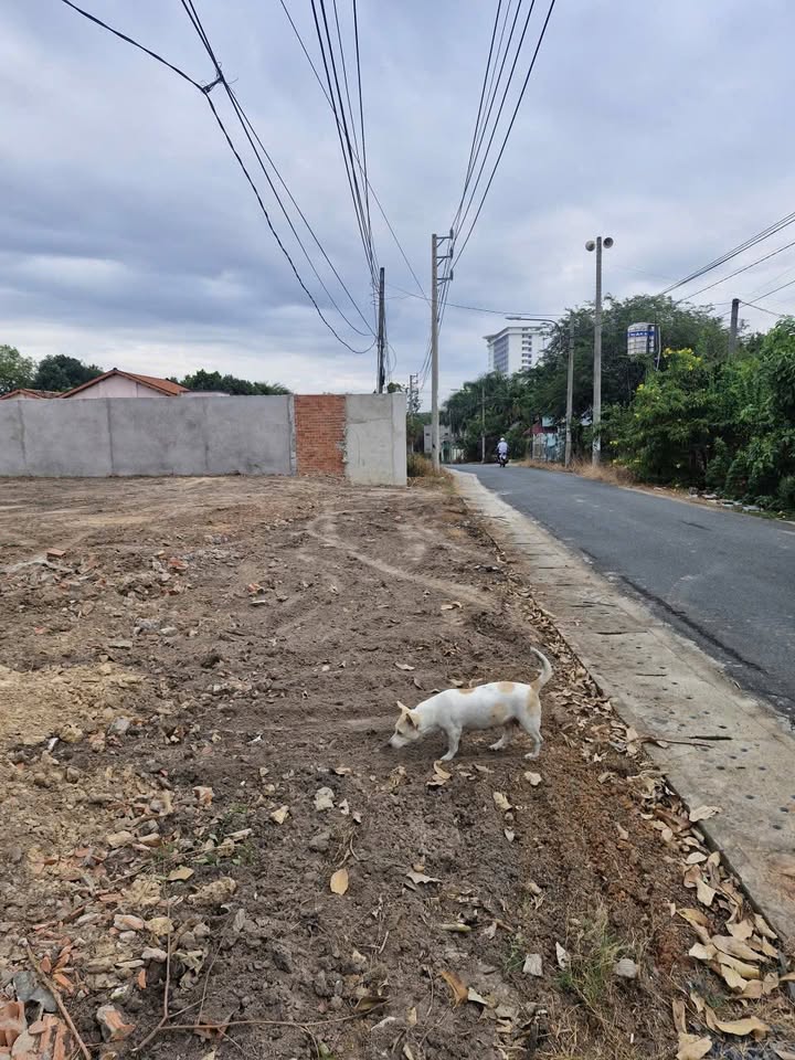 Đất nền Thủ Dầu Một 60m² - Sổ đỏ chính chủ, bao quy hoạch