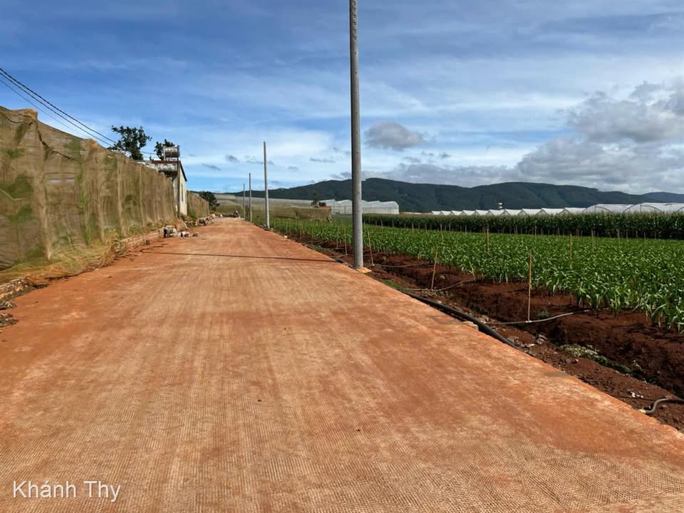 Đất nền Đạ Ròn, Đơn Dương 232m² giá 940 triệu - Tiềm năng tăng giá!