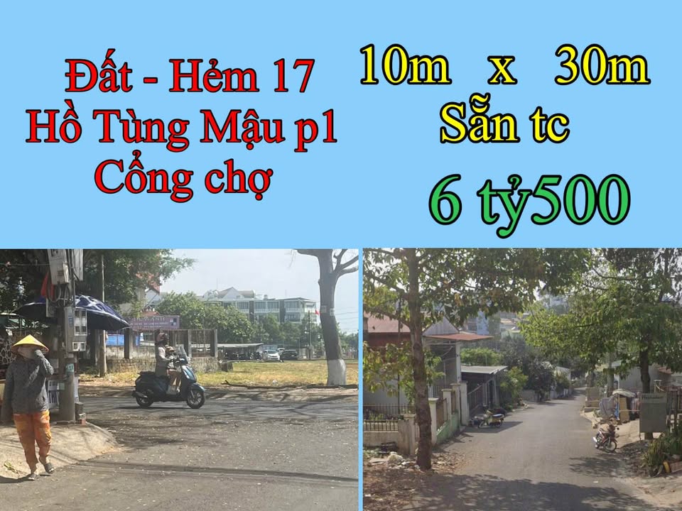 Đất Vàng 300m² Mặt Tiền Hẻm 6m Hồ Tùng Mậu, P1 Bảo Lộc - 6.5 Tỷ