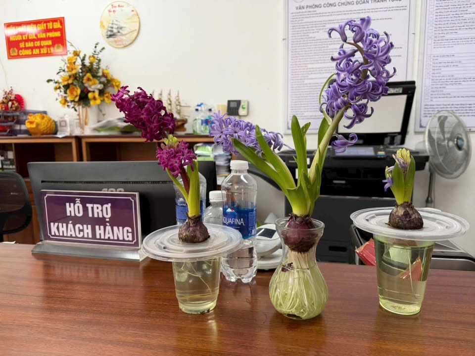 Đất Nền Kinh Doanh Điện Ngọc 156m² - Ngay Chợ, Giá 4.65 Tỷ