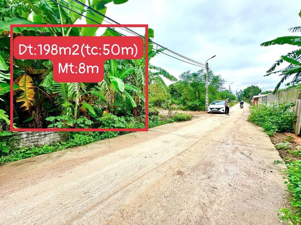 Đất nền Thanh Chương 198m² - Sổ đỏ chính chủ, tiềm năng tăng giá!