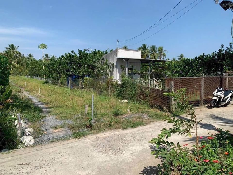 Đất Thổ Cư Mỹ Thạnh An, Bến Tre - 200m² Giá 1.2 Tỷ, Sẵn Sổ Hồng