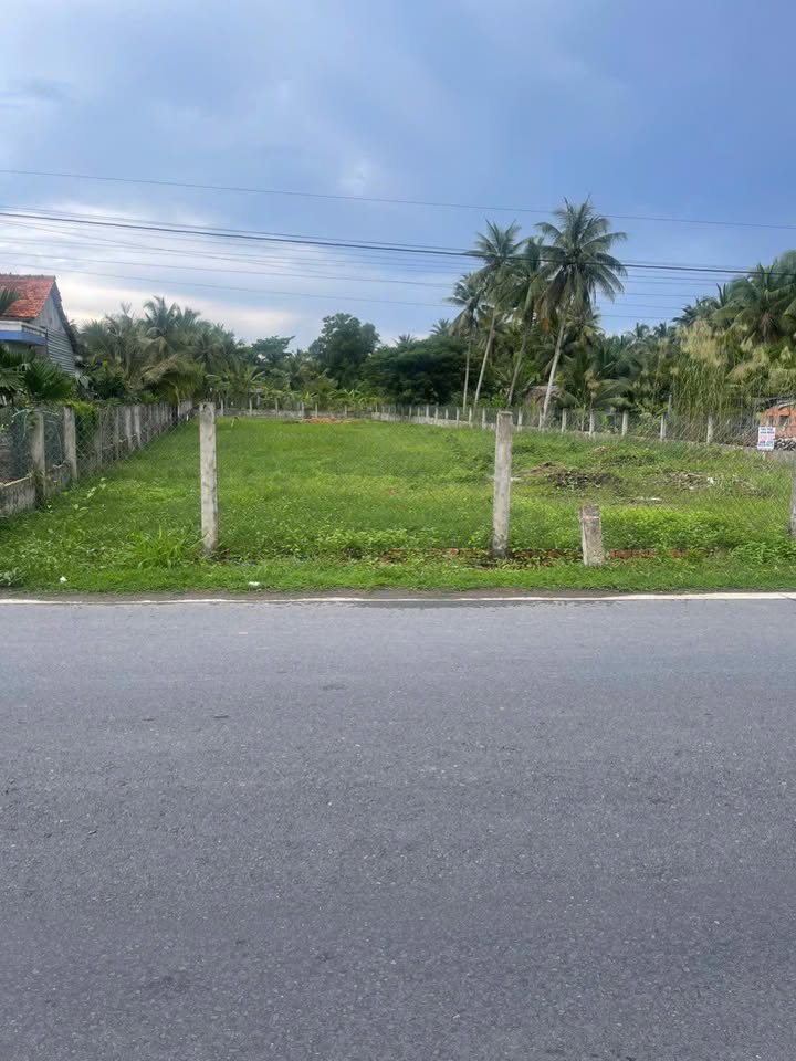 Đất nền Quốc lộ 60 Bến Tre 1500m² - Sổ đỏ chính chủ