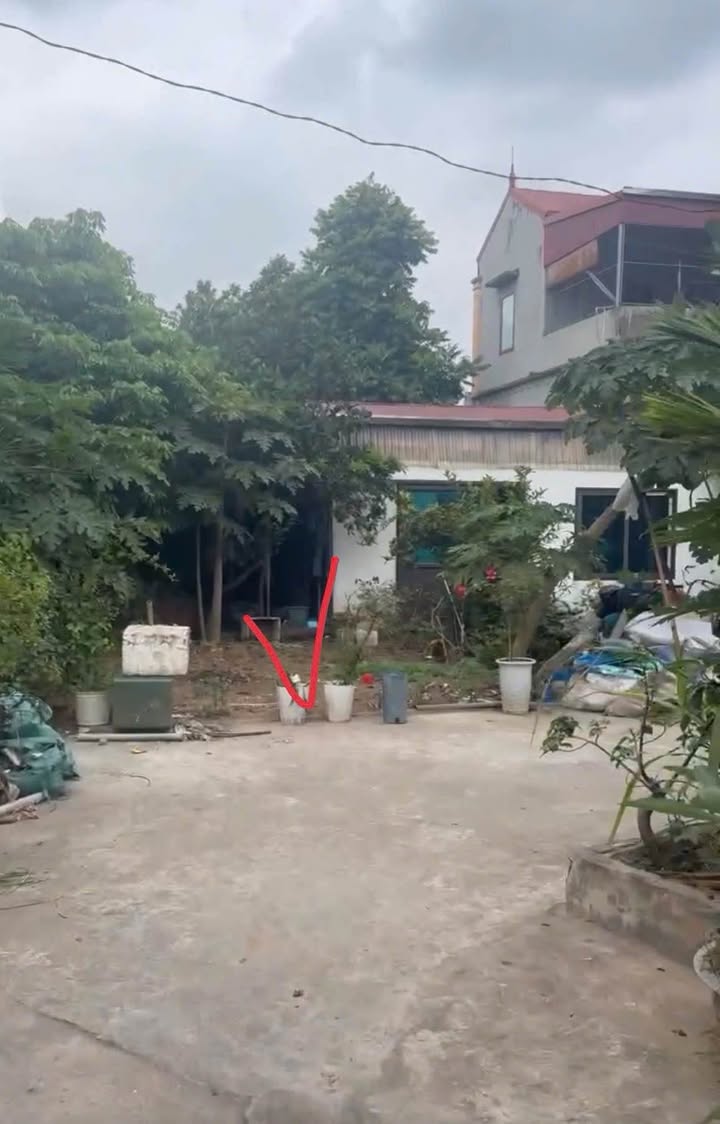 Đất nền Xã Tự Nhiên Thường Tín 96m² - Sổ đỏ chính chủ, vị trí đẹp!