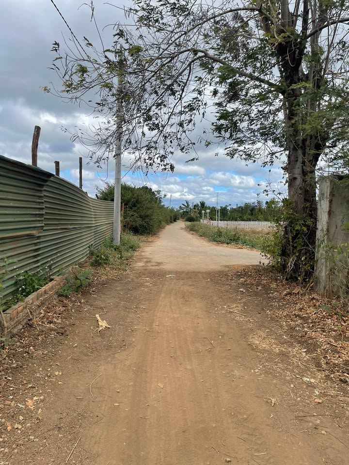 Đất Vườn Ea Pok - 1202m² Sổ Hồng Riêng, Giá F0 Chỉ 8xx Triệu