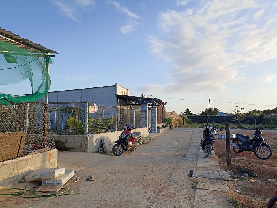 Bán Đất Thổ Cư Long Bình 100m² - Sổ Hồng Riêng, Giá 700 Triệu