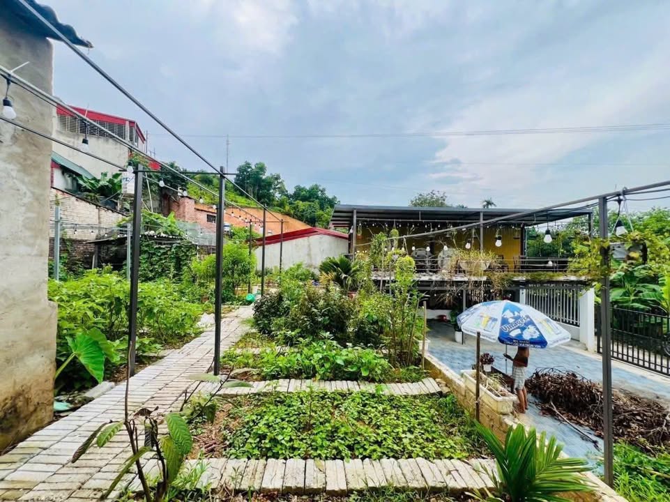 Đất Yên Bái 500m² - Trung tâm Yên Ninh, Sổ đỏ sẵn sàng