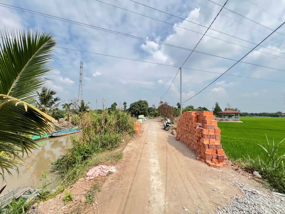 Đất vườn Long Xuyên 1000m² - Sổ hồng chính chủ, view sông mát lành