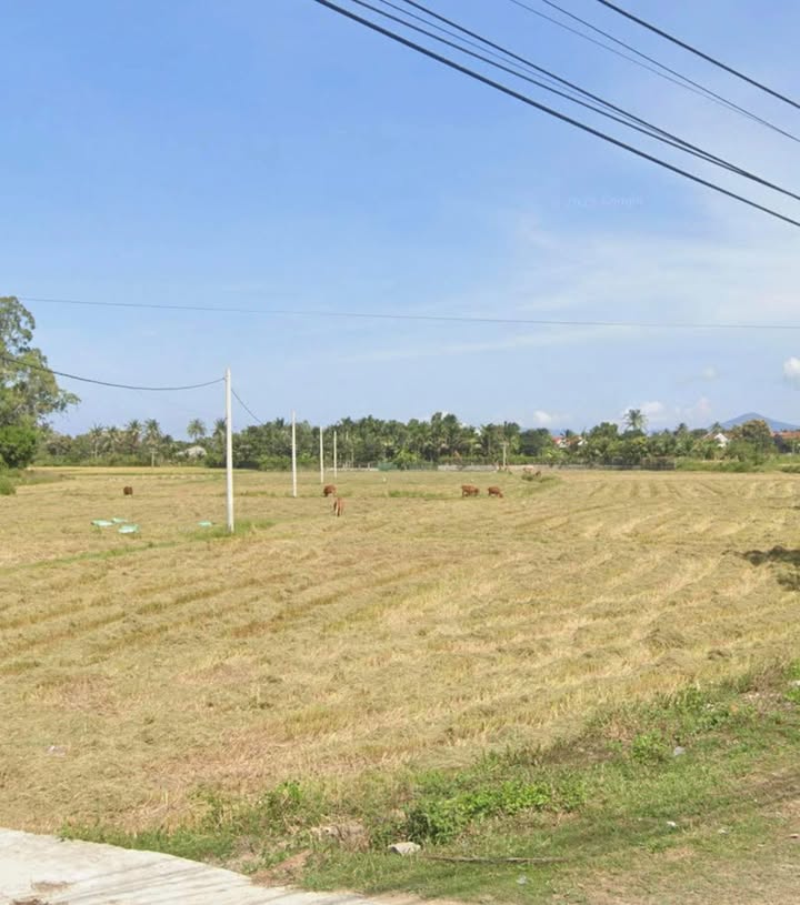 Đất Nền Xã Hiền Lương, Vạn Ninh 14400m² - Tiềm Năng Tăng Giá Vượt Trội!