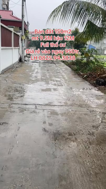 Đất nền Tứ Kỳ Hải Dương 150m² - Sổ đỏ chính chủ, Đất thổ cư 100%