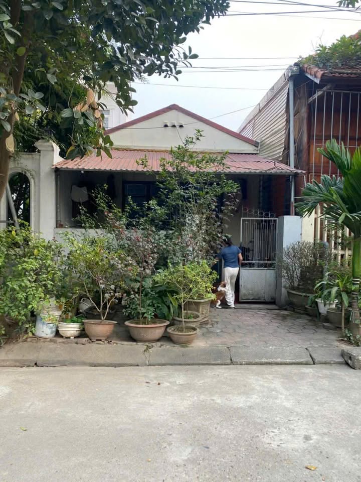 Nhà riêng Nguyễn Du, Việt Trì 100m² - Chính chủ bán gấp!